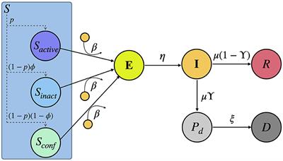 Socioeconomic determinants of stay-at-home policies during the first COVID-19 wave